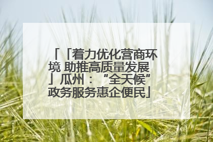 「着力优化营商环境 助推高质量发展」瓜州：“全天候”政务服务惠企便民