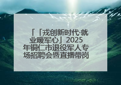 「戎创新时代·就业暖军心」2025年铜仁市退役军人专场招聘会暨直播带岗活动顺利举行