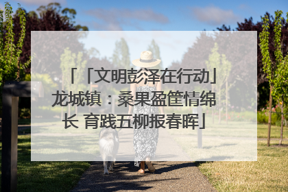 「文明彭泽在行动」龙城镇：桑果盈筐情绵长 育践五柳报春晖