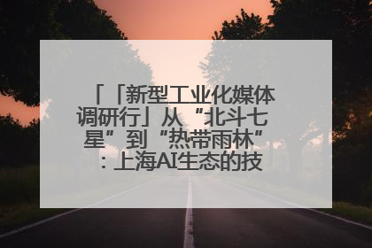 「新型工业化媒体调研行」从“北斗七星”到“热带雨林”：上海AI生态的技术商业共生密码