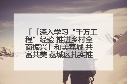 「深入学习“千万工程”经验 推进乡村全面振兴」和美荔城 共富共美 荔城区扎实推进乡村振兴工作