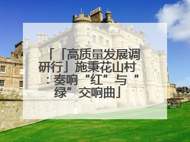 「高质量发展调研行」施秉花山村：奏响“红”与“绿”交响曲