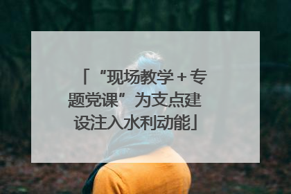 “现场教学＋专题党课”为支点建设注入水利动能