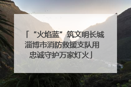 “火焰蓝”筑文明长城 淄博市消防救援支队用忠诚守护万家灯火