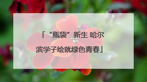 “瓶袋”新生 哈尔滨学子绘就绿色青春