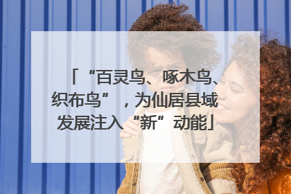 “百灵鸟、啄木鸟、织布鸟”，为仙居县域发展注入“新”动能
