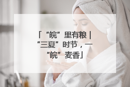 “皖”里有粮｜“三夏”时节，一“皖”麦香
