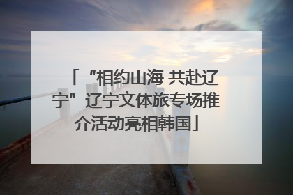 “相约山海 共赴辽宁”辽宁文体旅专场推介活动亮相韩国