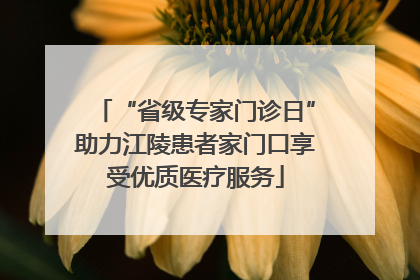 “省级专家门诊日”助力江陵患者家门口享受优质医疗服务