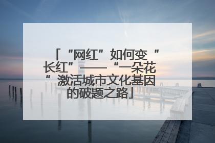 “网红”如何变“长红”——“一朵花”激活城市文化基因的破题之路