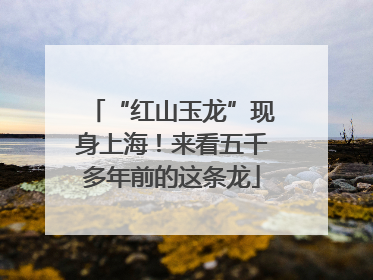 “红山玉龙”现身上海！来看五千多年前的这条龙