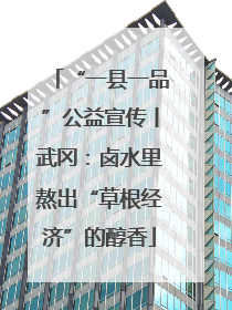 “一县一品”公益宣传丨武冈：卤水里熬出“草根经济”的醇香