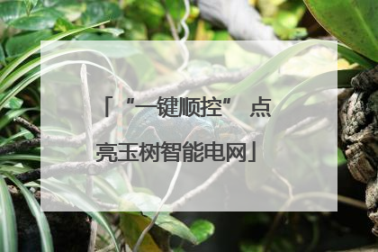 “一键顺控” 点亮玉树智能电网