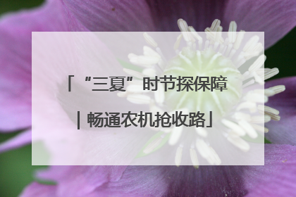 “三夏”时节探保障｜畅通农机抢收路