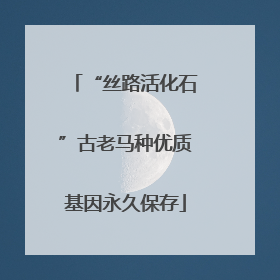 “丝路活化石”古老马种优质基因永久保存