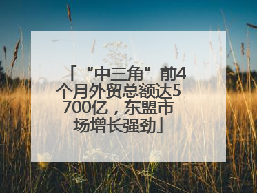 “中三角”前4个月外贸总额达5700亿，东盟市场增长强劲