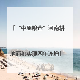 “中原粮仓”河南耕地面积实现四年连增