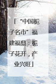 “中国栀子名市”福建福鼎：栀子花开，产业兴旺