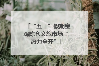“五一”假期宝鸡陈仓文旅市场“热力全开”