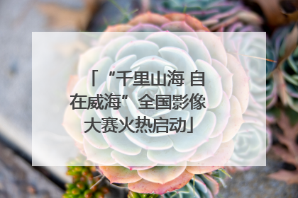 “千里山海 自在威海”全国影像大赛火热启动