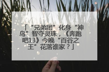 “兄弟团”化身“神鸟”智夺灵珠，《奔跑吧13》今晚“百谷之王”花落谁家？