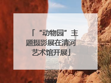 “动物园”主题摄影展在清河艺术馆开展