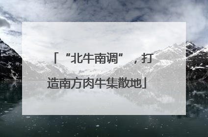 “北牛南调”，打造南方肉牛集散地