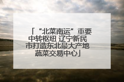 “北菜南运”重要中转枢纽 辽宁新民市打造东北最大产地蔬菜交易中心