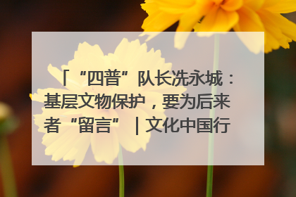 “四普”队长冼永城：基层文物保护，要为后来者“留言”｜文化中国行·我在广东找文物
