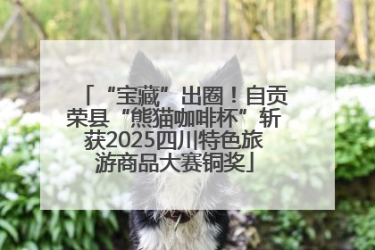 “宝藏”出圈！自贡荣县“熊猫咖啡杯”斩获2025四川特色旅游商品大赛铜奖