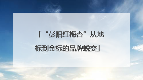 “彭阳红梅杏”从地标到金标的品牌蜕变