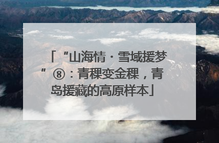 “山海情・雪域援梦”⑧：青稞变金稞，青岛援藏的高原样本
