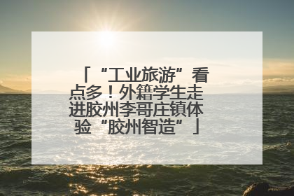 “工业旅游”看点多！外籍学生走进胶州李哥庄镇体验“胶州智造”