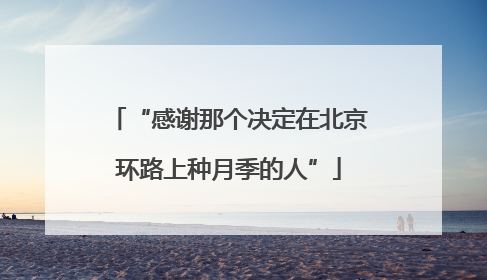“感谢那个决定在北京环路上种月季的人”