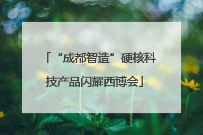 “成都智造”硬核科技产品闪耀西博会