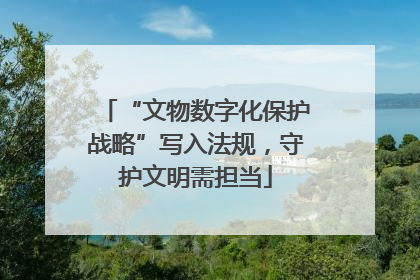 “文物数字化保护战略”写入法规，守护文明需担当