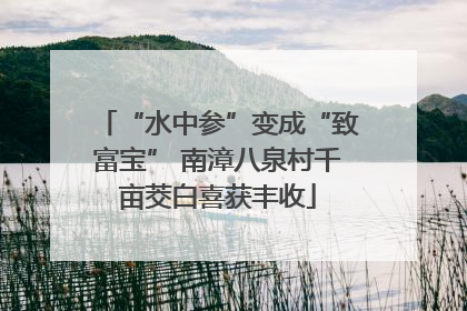 “水中参”变成“致富宝” 南漳八泉村千亩茭白喜获丰收