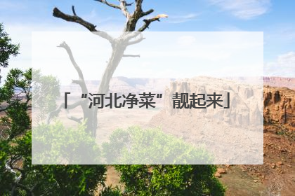 “河北净菜”靓起来