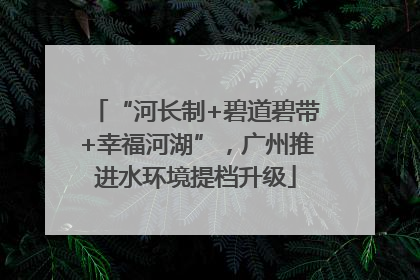 “河长制+碧道碧带+幸福河湖”，广州推进水环境提档升级
