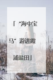 “海中宝马”游进霞浦盐田