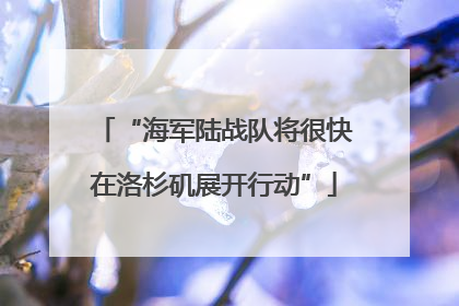 “海军陆战队将很快在洛杉矶展开行动”