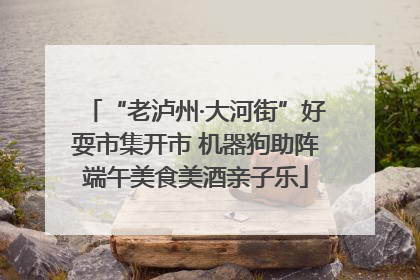 “老泸州·大河街”好耍市集开市 机器狗助阵端午美食美酒亲子乐