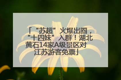 “苏超”火爆出圈，“十四妹”入群！湖北黄石14家A级景区对江苏游客免票