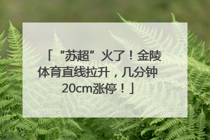 “苏超”火了！金陵体育直线拉升，几分钟20cm涨停！