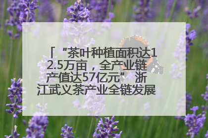 “茶叶种植面积达12.5万亩，全产业链产值达57亿元” 浙江武义茶产业全链发展“加速度”