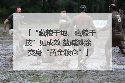 “藏粮于地、藏粮于技”见成效 盐碱滩涂变身“黄金粮仓”