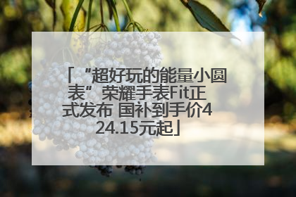 “超好玩的能量小圆表”荣耀手表Fit正式发布 国补到手价424.15元起