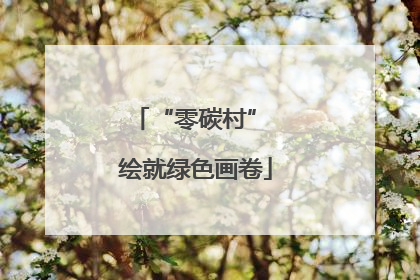 “零碳村” 绘就绿色画卷