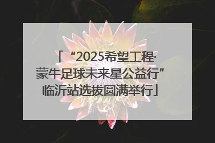 “2025希望工程·蒙牛足球未来星公益行”临沂站选拔圆满举行