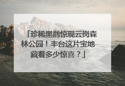 珍稀黑鹳惊现云岗森林公园！丰台这片宝地藏着多少惊喜？